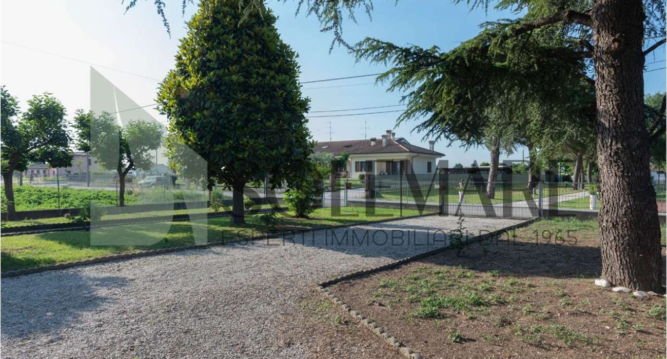 imm_10262-20240708174936-1280-