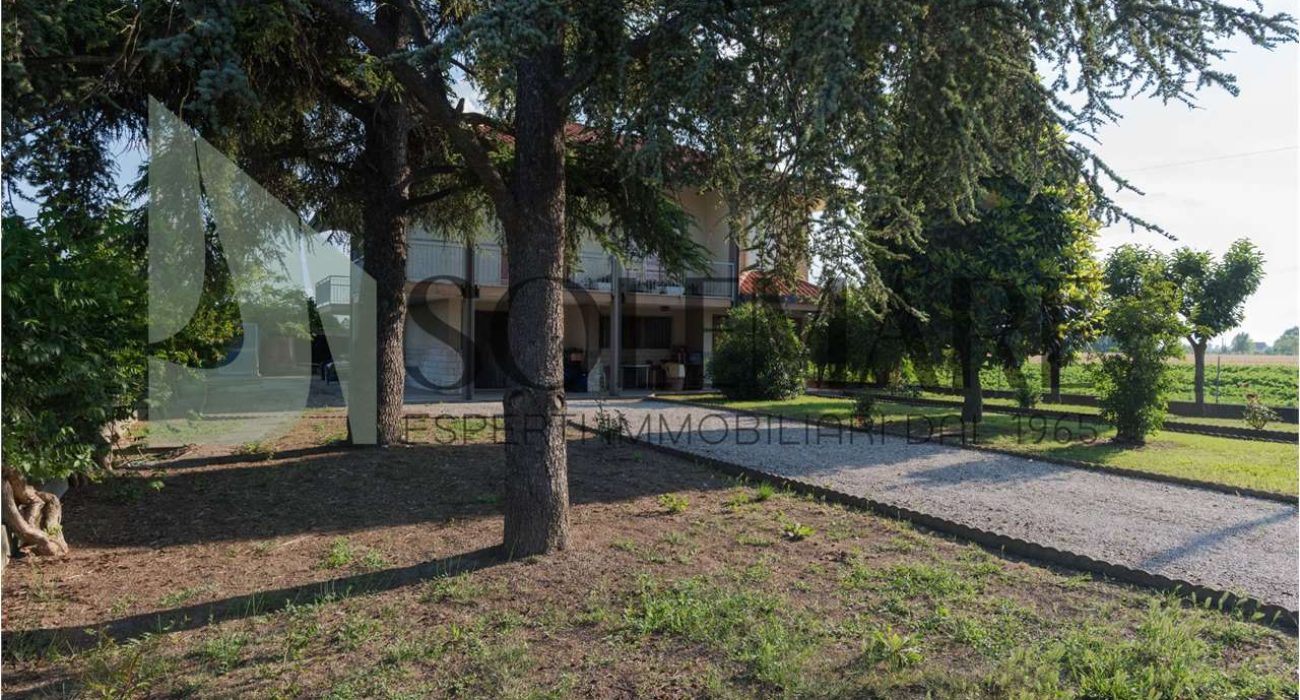 imm_10265-20240708174800-1280-