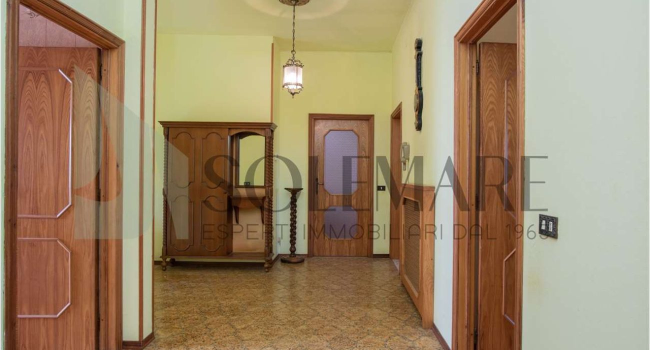 imm_10266-20240708174933-1280-