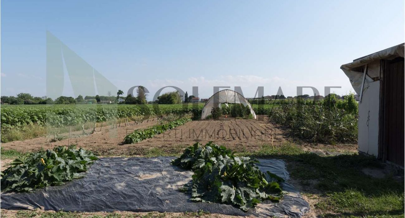 imm_10267-20240708174943-1280-