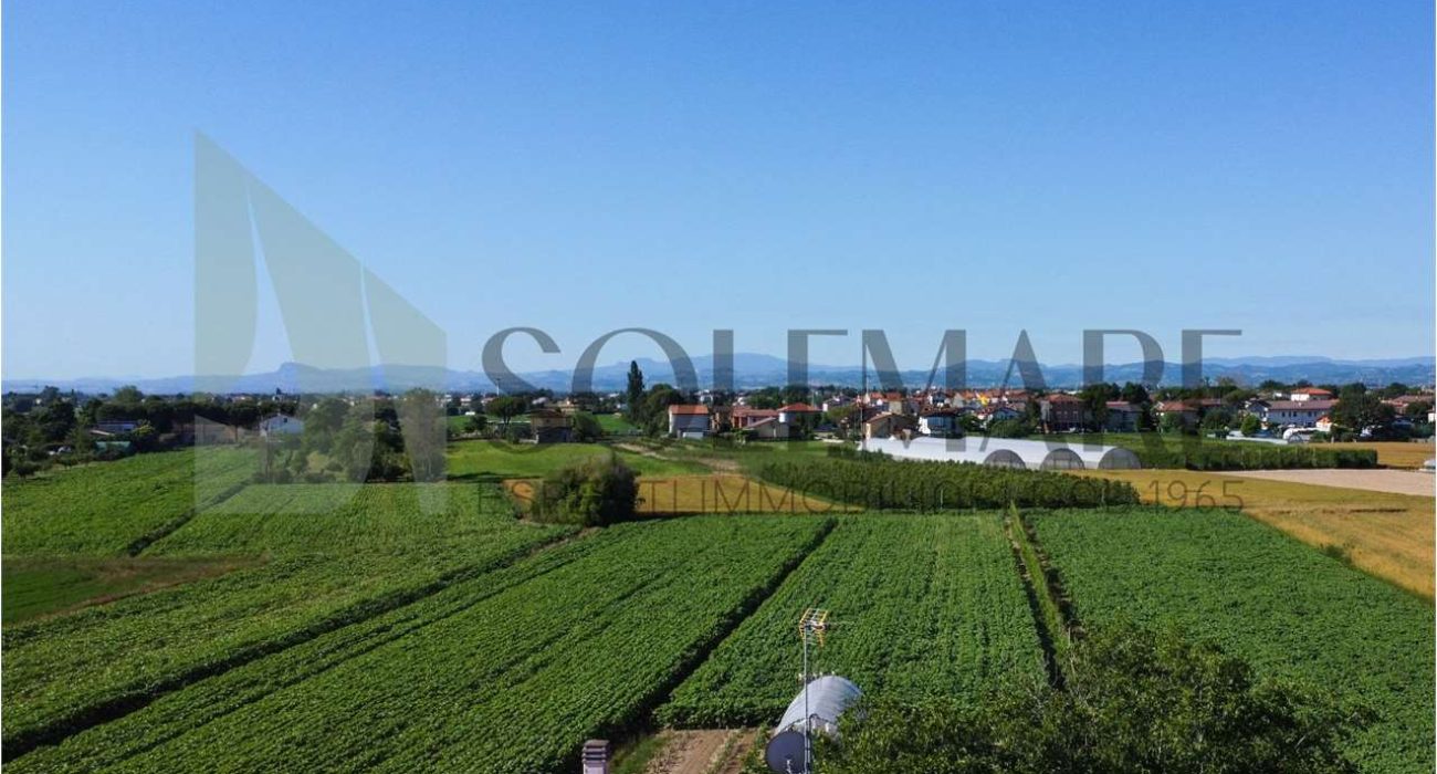 imm_10269-20240627122627-1280-