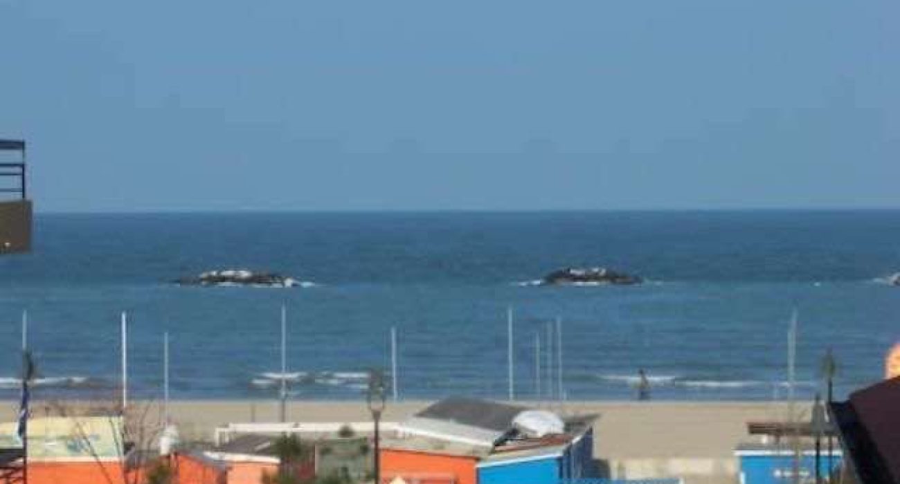 imm_10699-20250207111640-1136