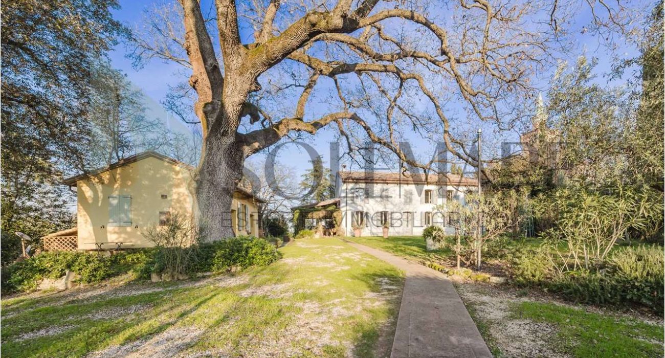 imm_10757-20250213163219-1280-