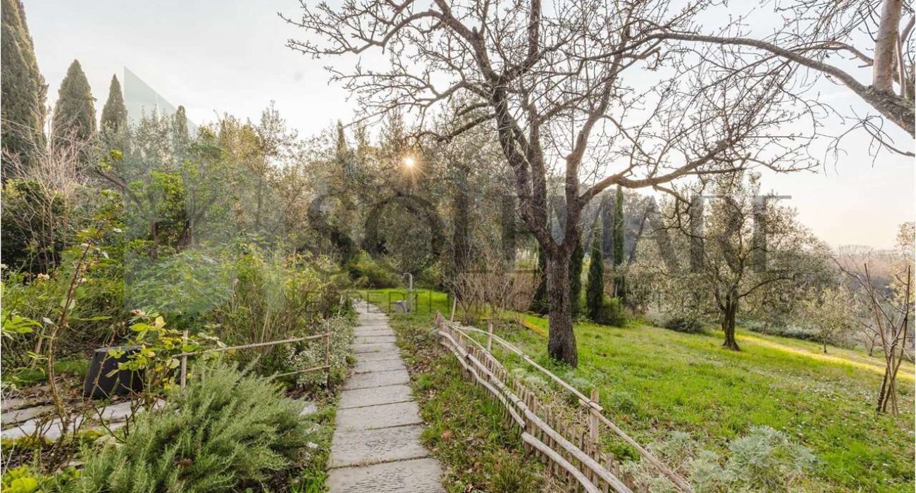 imm_10758-20250213163217-1280-