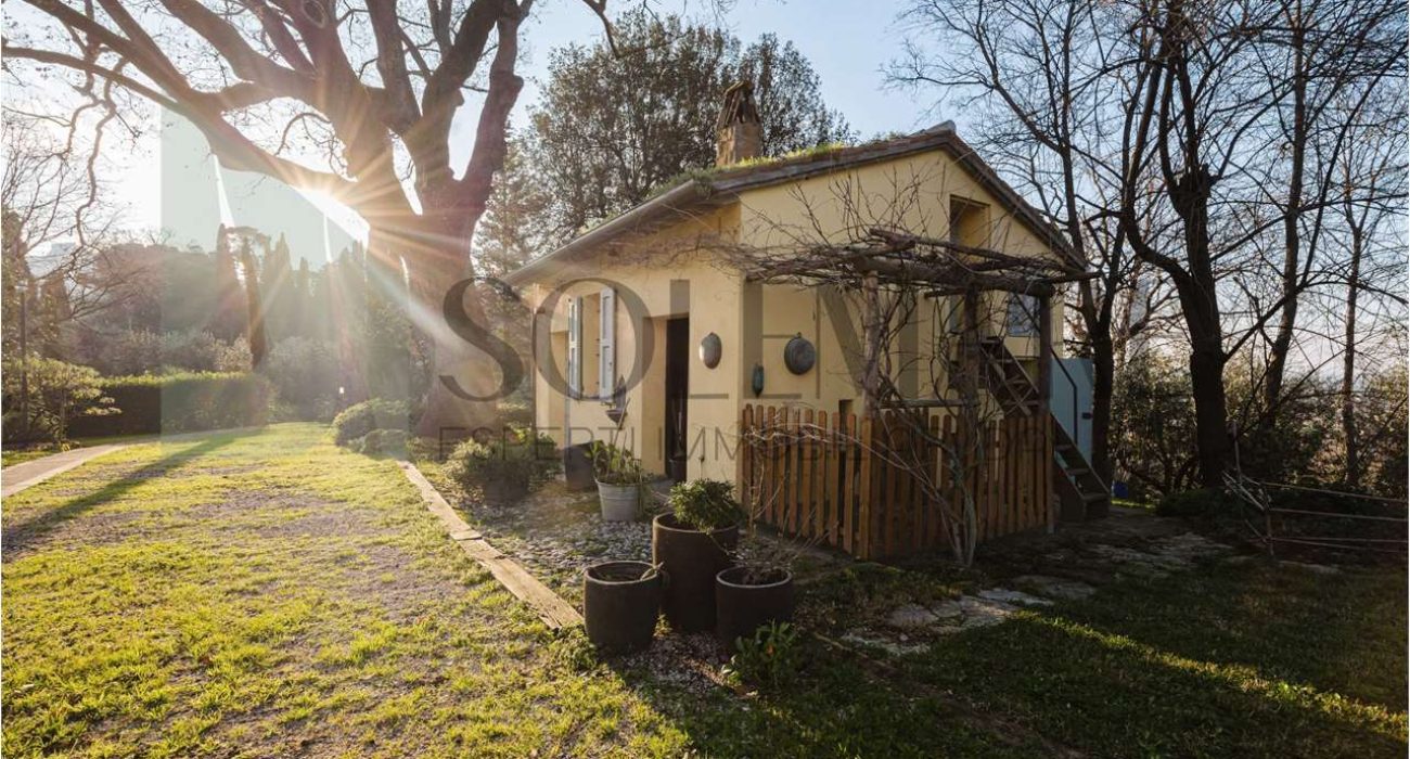 imm_10761-20250213163455-1280-