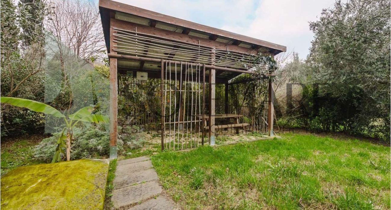 imm_10779-20250213163518-1280-