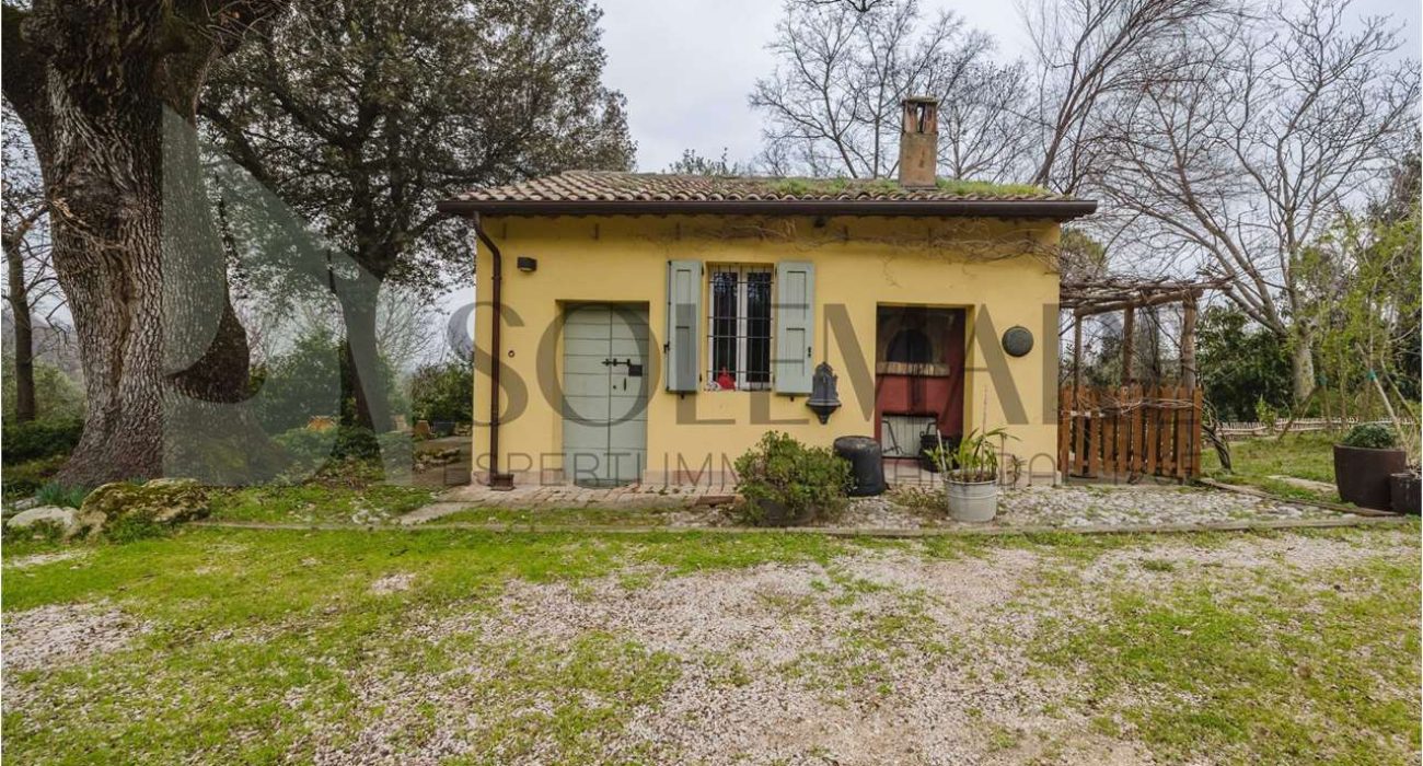 imm_10780-20250213163504-1280-