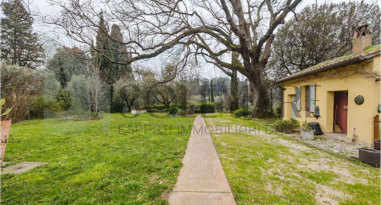 imm_10781-20250213163507-1280-