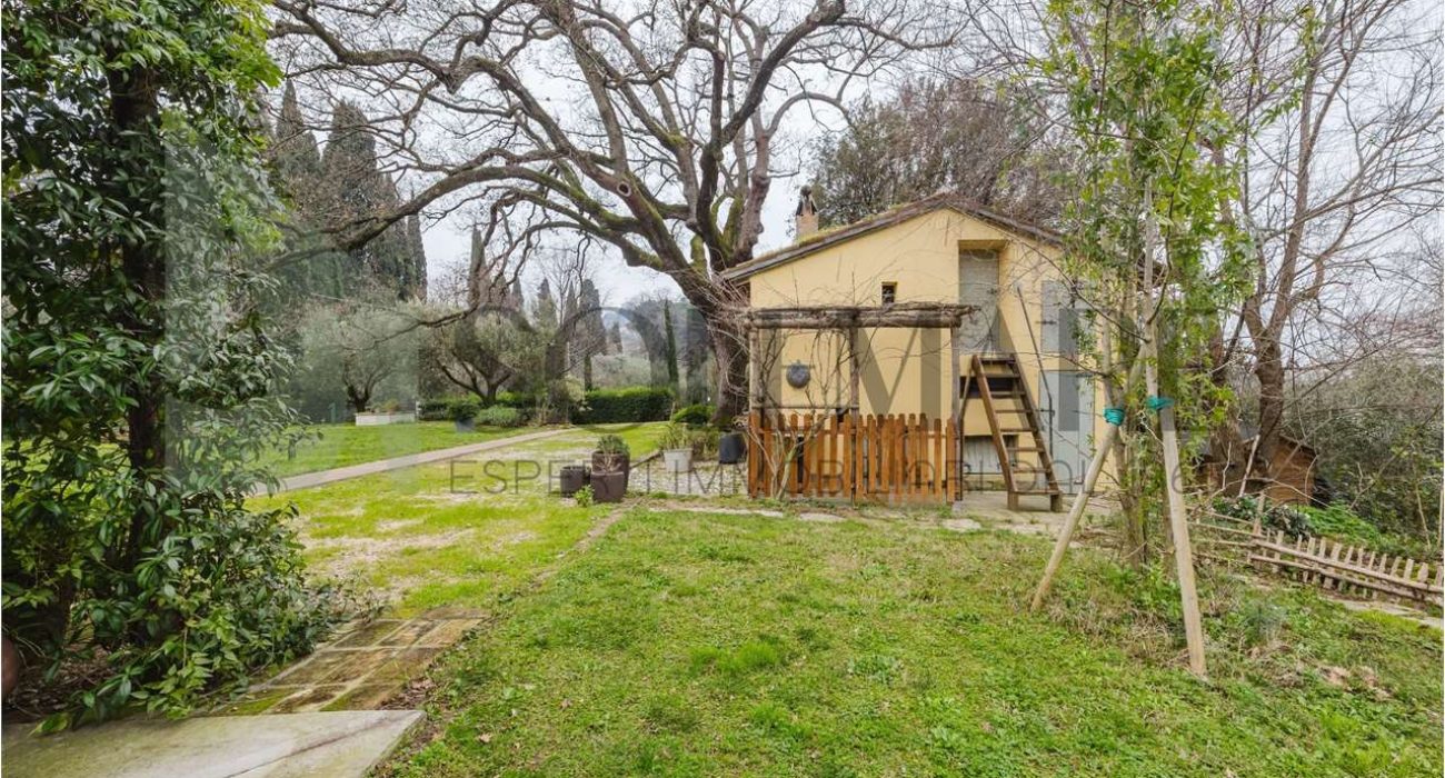 imm_10783-20250213163521-1280-