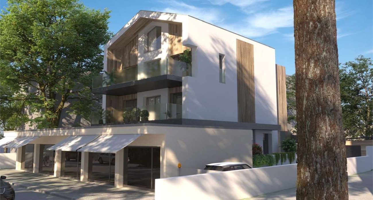 imm_11123-20250307122641-1280-