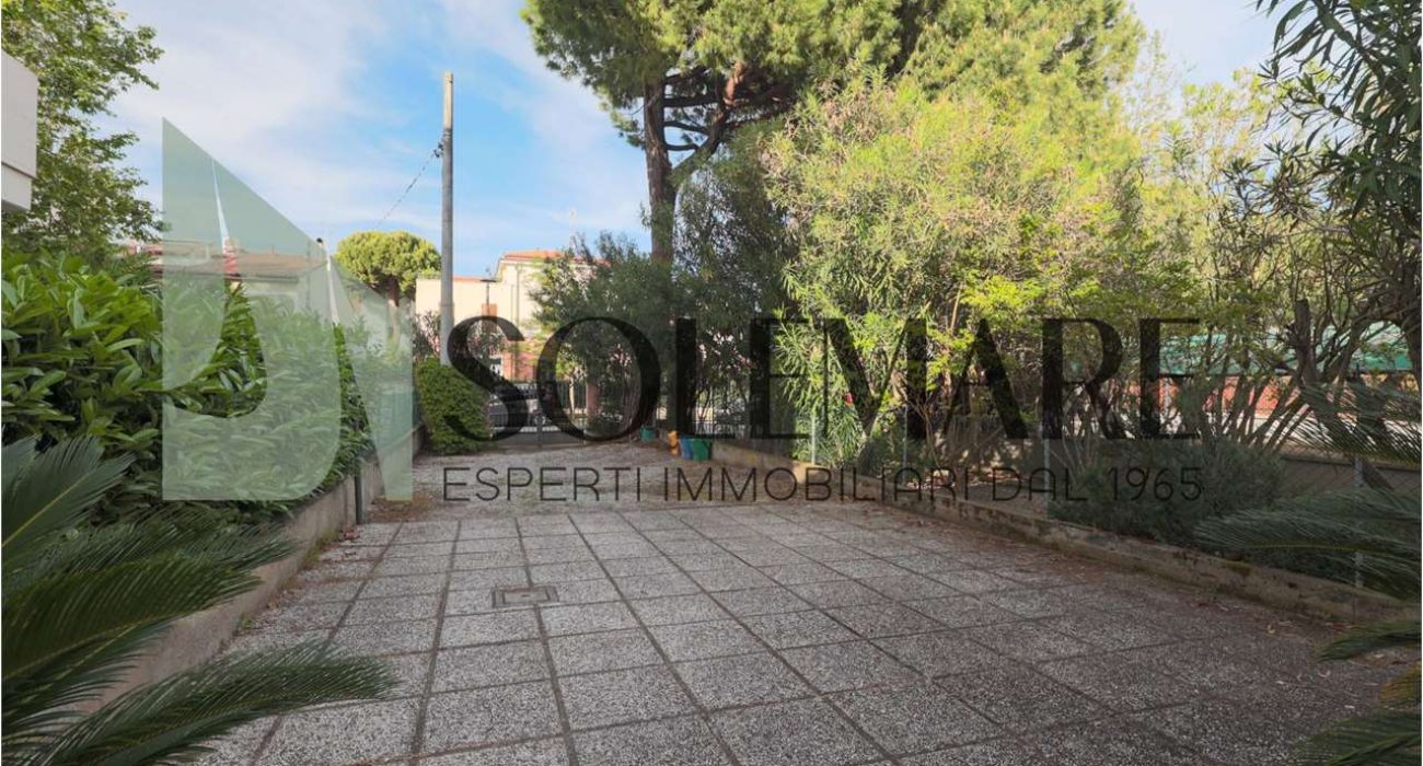 imm_11374-20250512175331-1280-