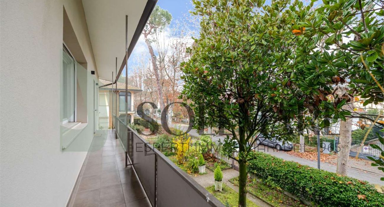 imm_11835-20260108163516-1280-