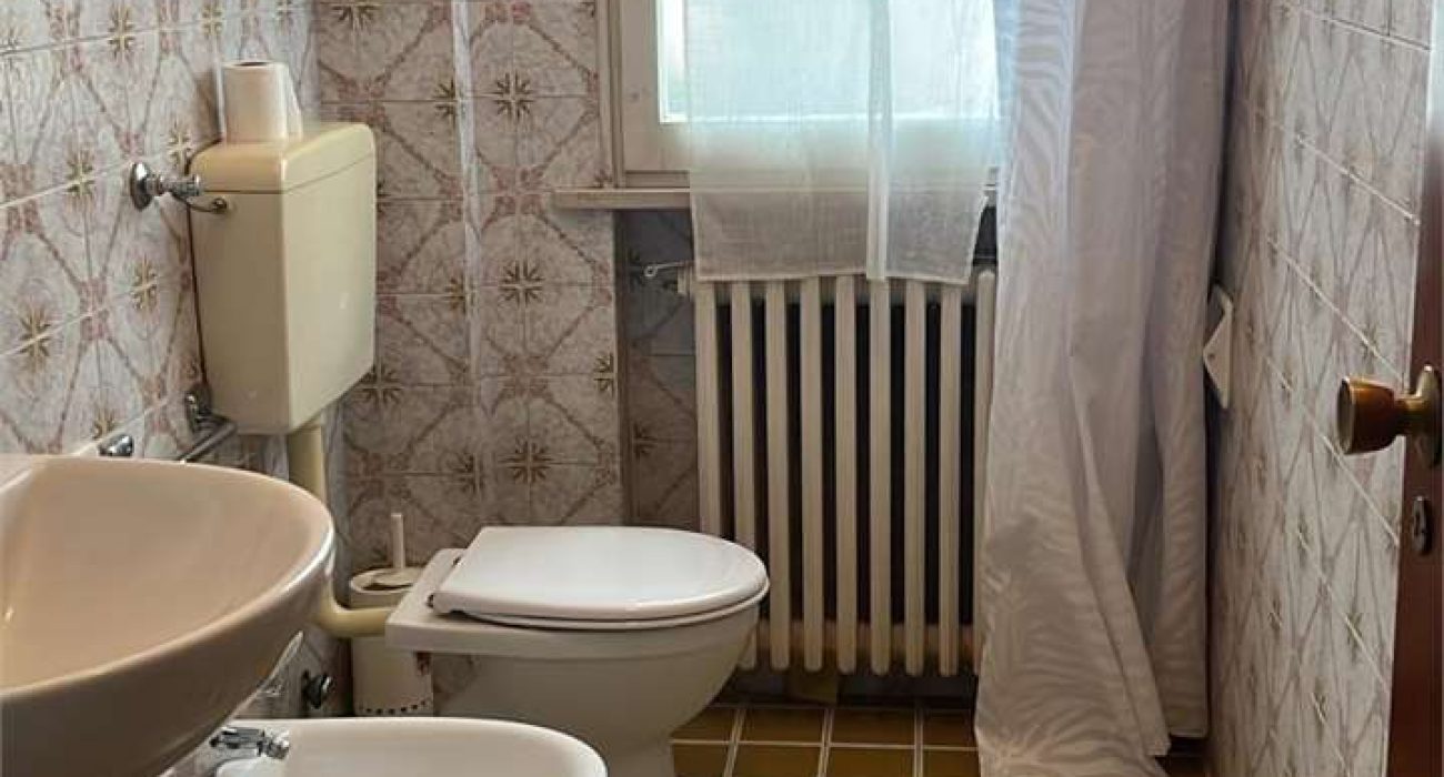 imm_11894-20260211115706-1280