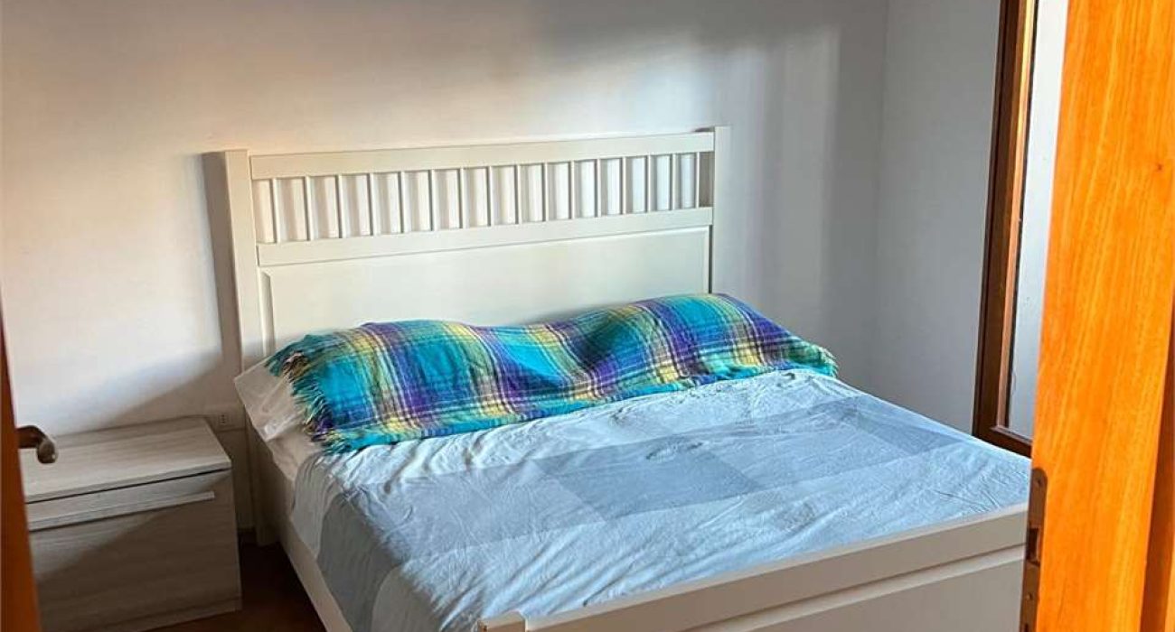 imm_11904-20260217151808-1280