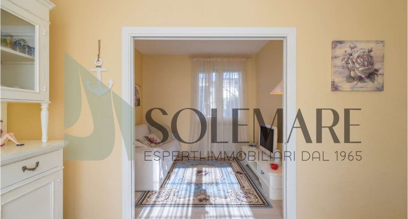 imm_11912-20260219122147-1280-