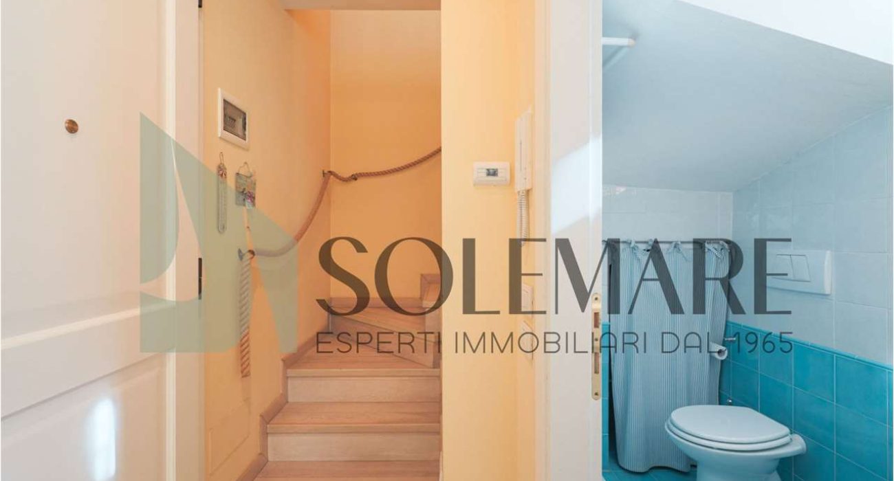 imm_11917-20260219122222-1280-