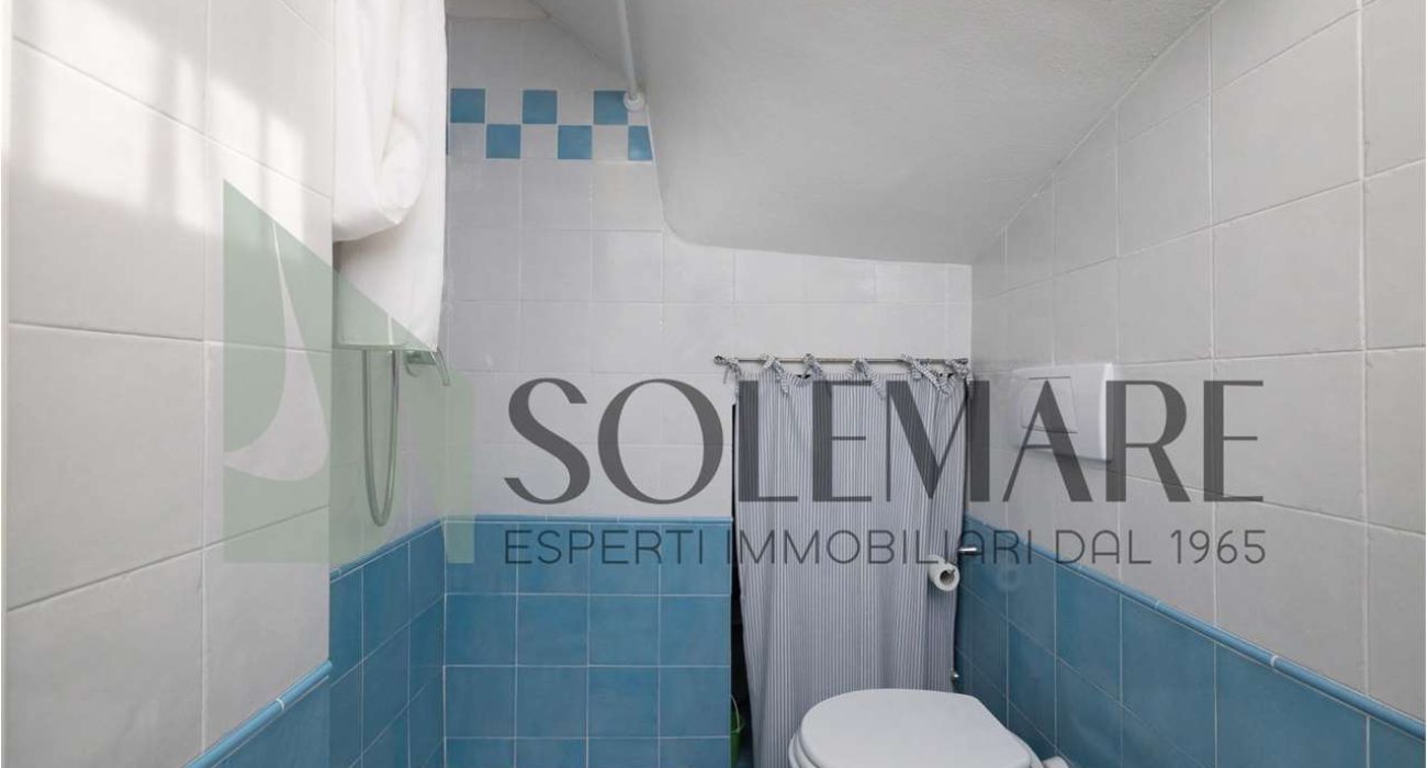 imm_11921-20260217160957-1280-