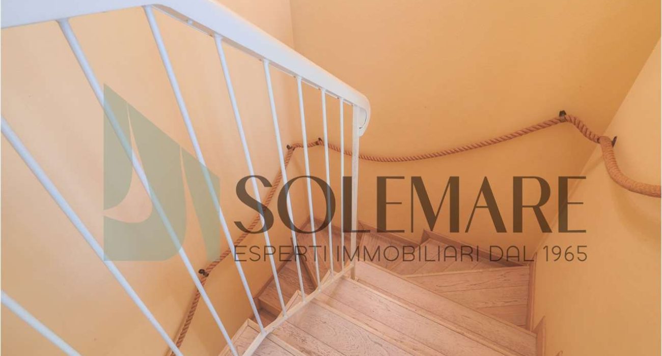 imm_11931-20260219122410-1280-