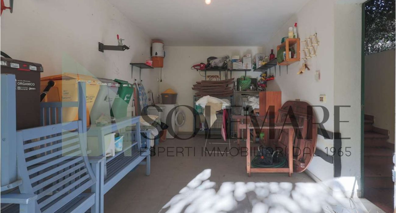 imm_11932-20260219122437-1280-