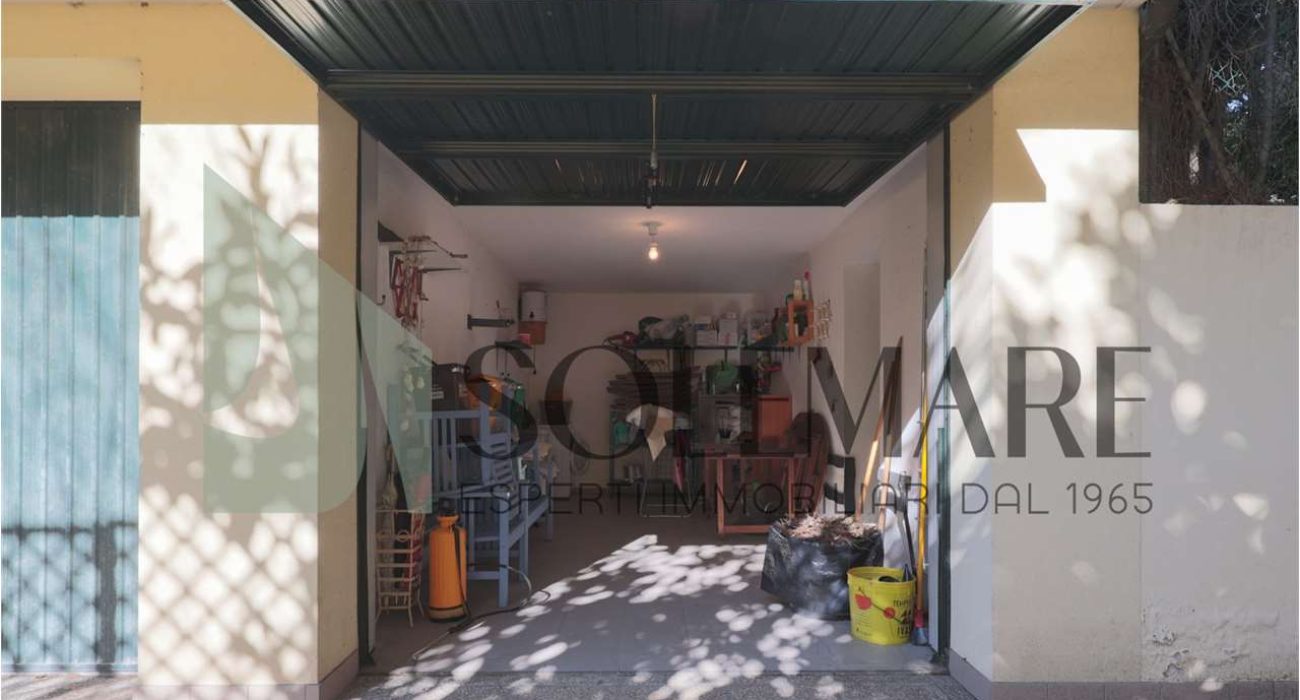 imm_11933-20260220115110-1280-