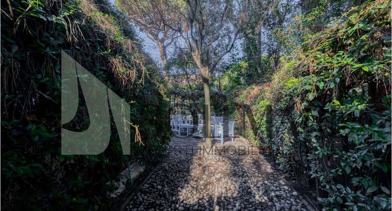 imm_11937-20260220115200-1280-