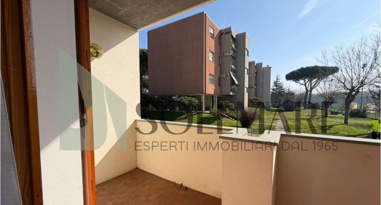 imm_11946-20260224120425-1280-