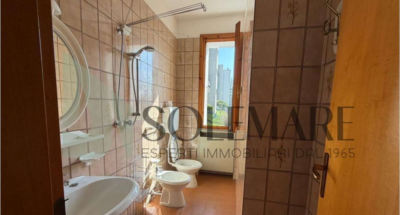 imm_11949-20260224120428-1280-