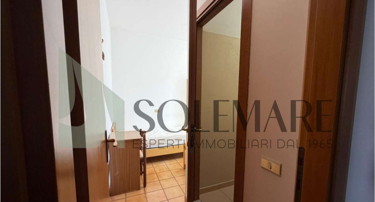 imm_11951-20260224120429-1280-