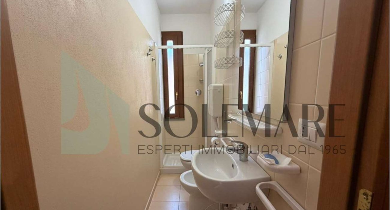 imm_11953-20260224120431-1280-