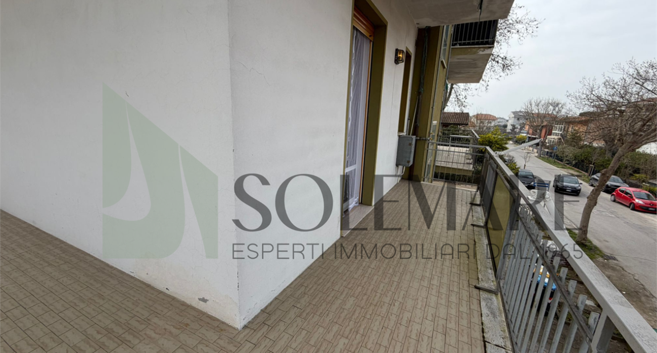 imm_12003-20260310113117-1280-