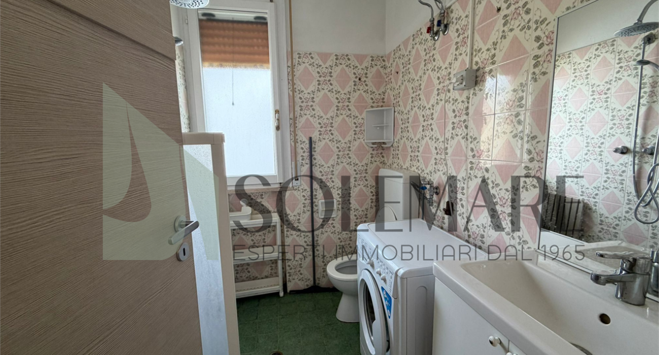 imm_12006-20260310113150-1280-