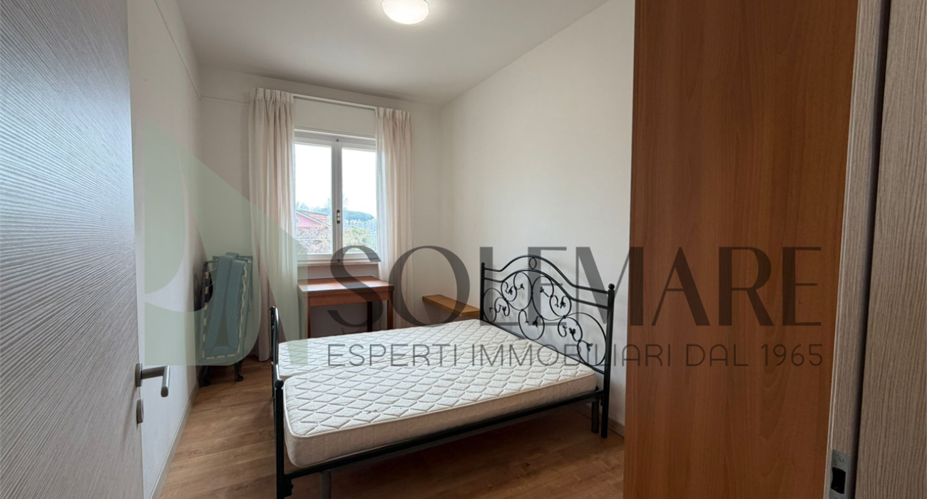 imm_12007-20260310113154-1280-