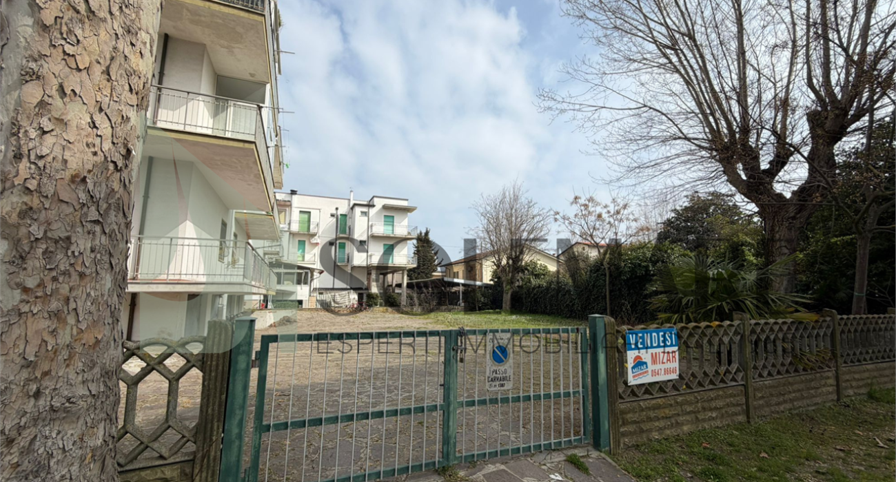 imm_12014-20260310113218-1280-