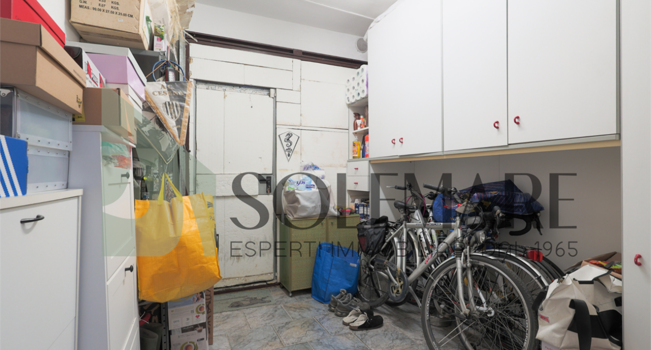 imm_12058-20260327105052-1280-