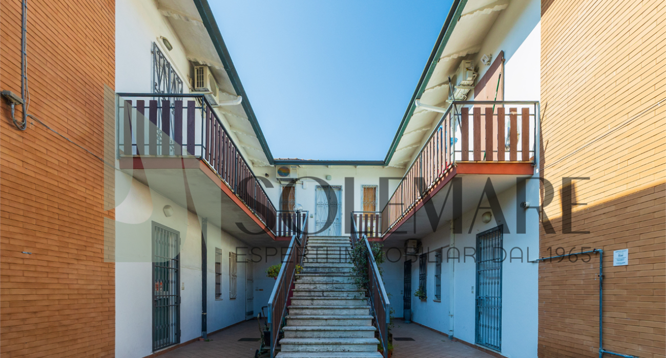 imm_12098-20260327105335-1280-