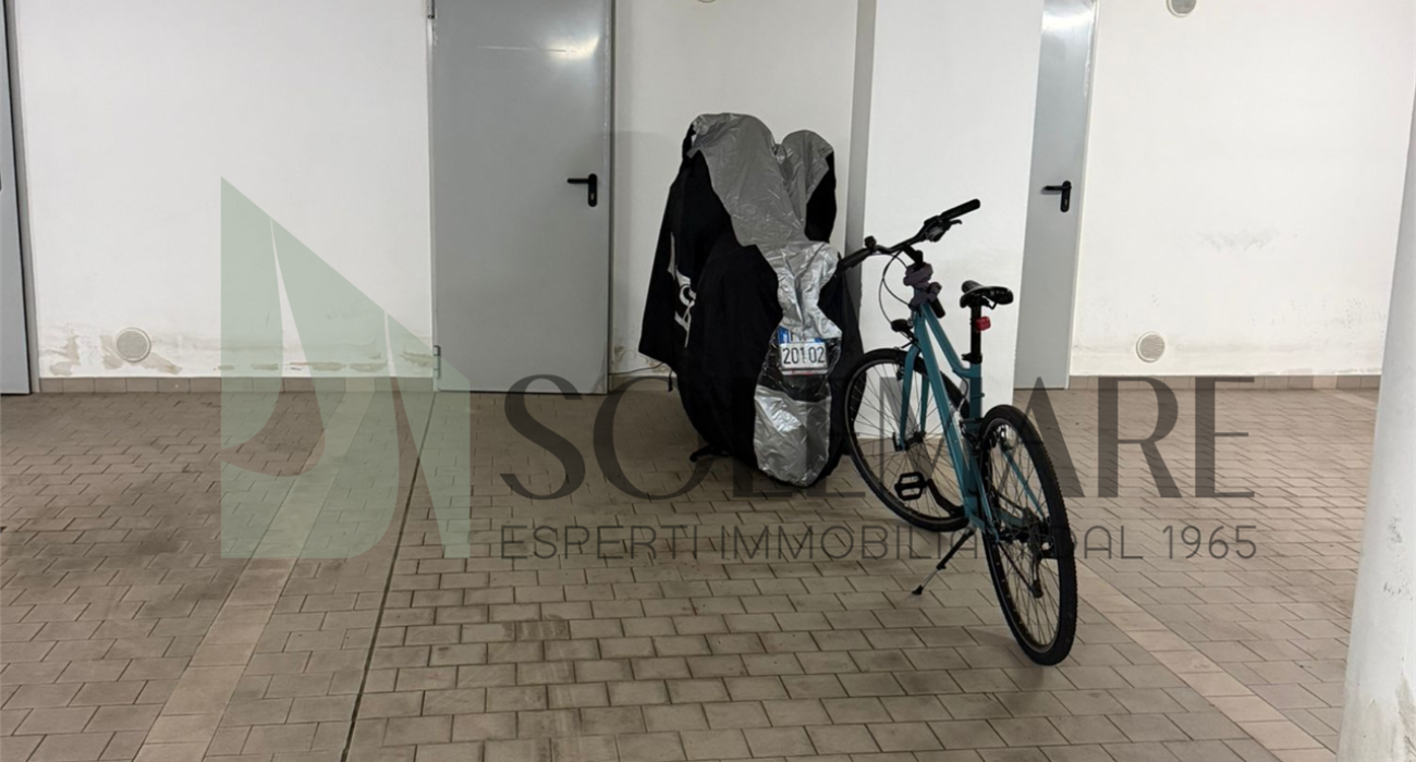 imm_12237-20260415163558-1280-