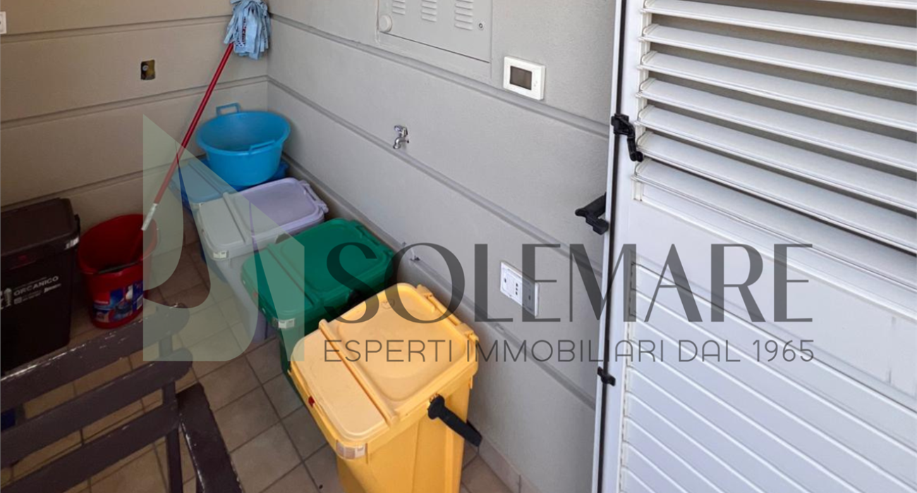 imm_12442-20260626111534-1280-
