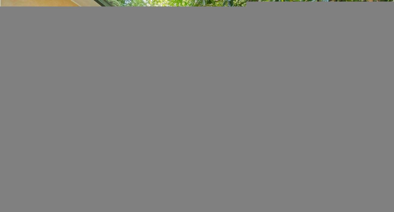 imm_12545-20260805120623-1280-