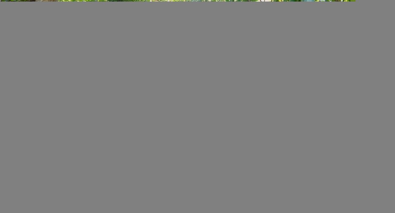 imm_12554-20260805120902-1280-