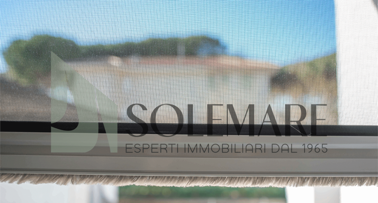 imm_8234-20230114123459-1280-