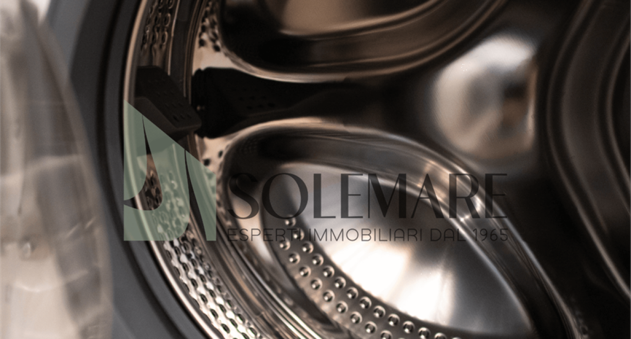 imm_8350-20230117183630-1280