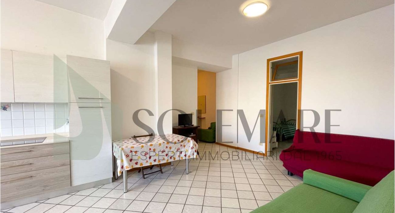 imm_9830-20240125163100-1280-