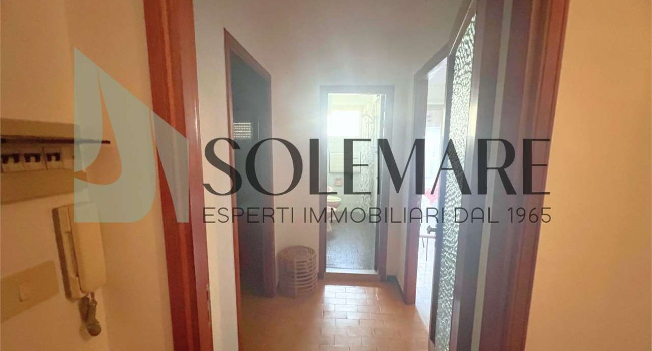 imm_9867-20240213170521-1280-