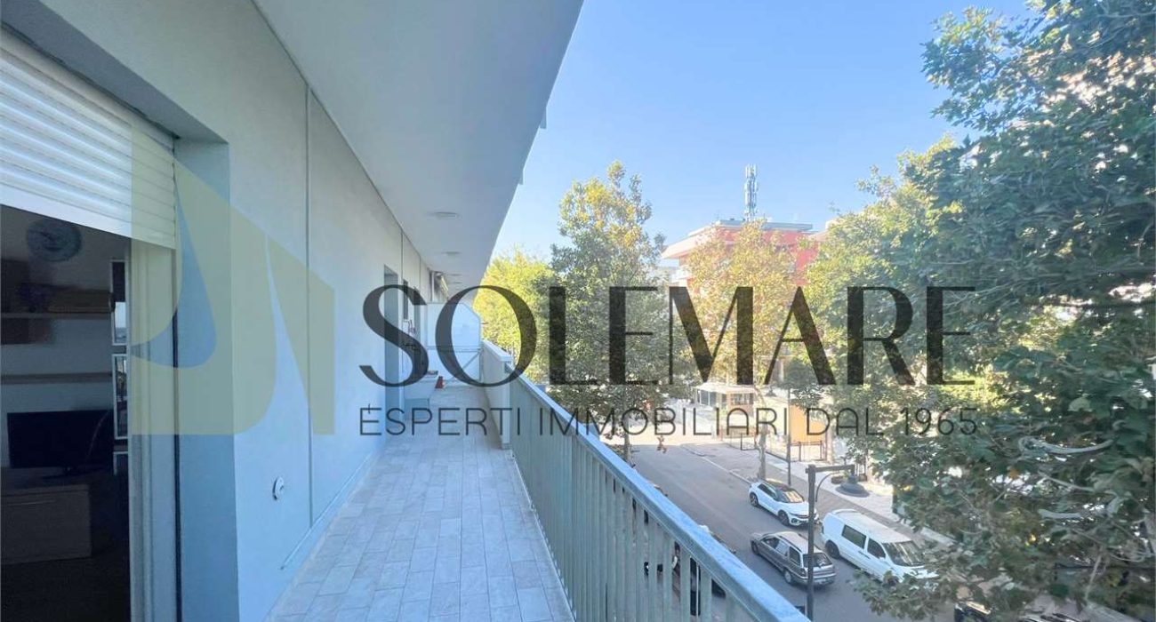 imm_9879-20240213170711-1280-